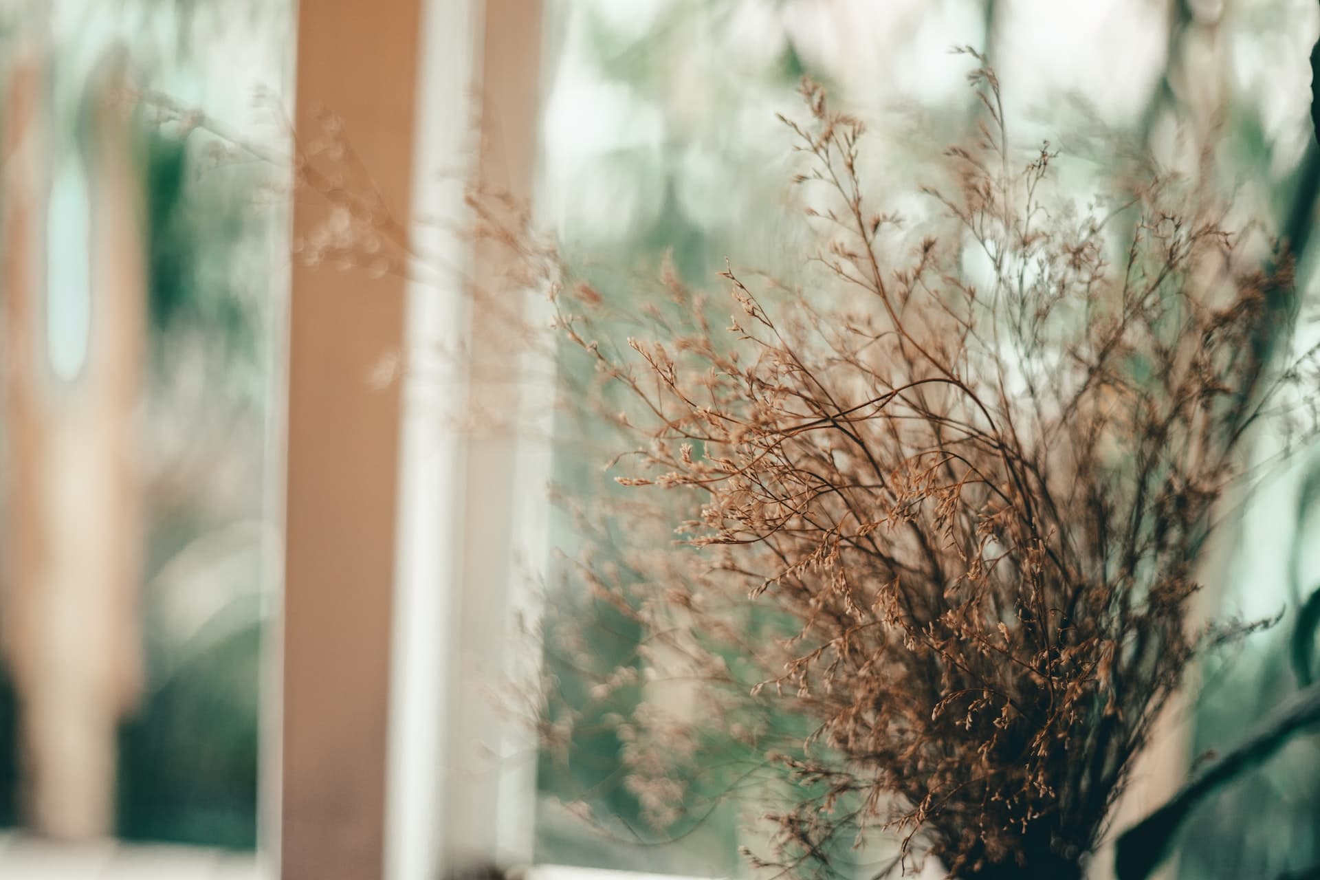 Наречия порядка и последовательности в английском языке | BUKI School